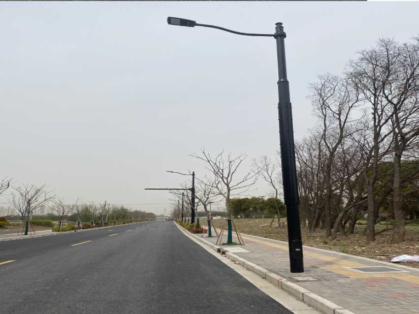 聂拉木县上海综合杆 太阳能路灯工程